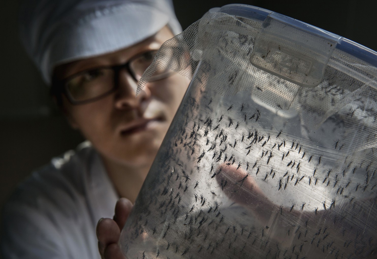 man holding jar of mosquitoes