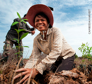 Development Credit Authority. Credit: Cambodia HARVEST