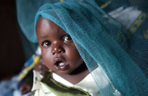 A baby looks out from beneath mosquito netting