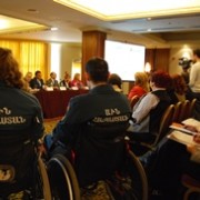 National conference to discuss the Model of Inclusive Vocational Education and Employment for People with Disabilities