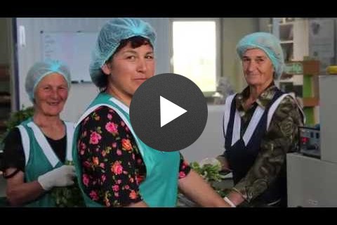 იმერეთის საოცრება - ჰერბია და USAID-ი / Magic in Imereti-Herbia and USAID